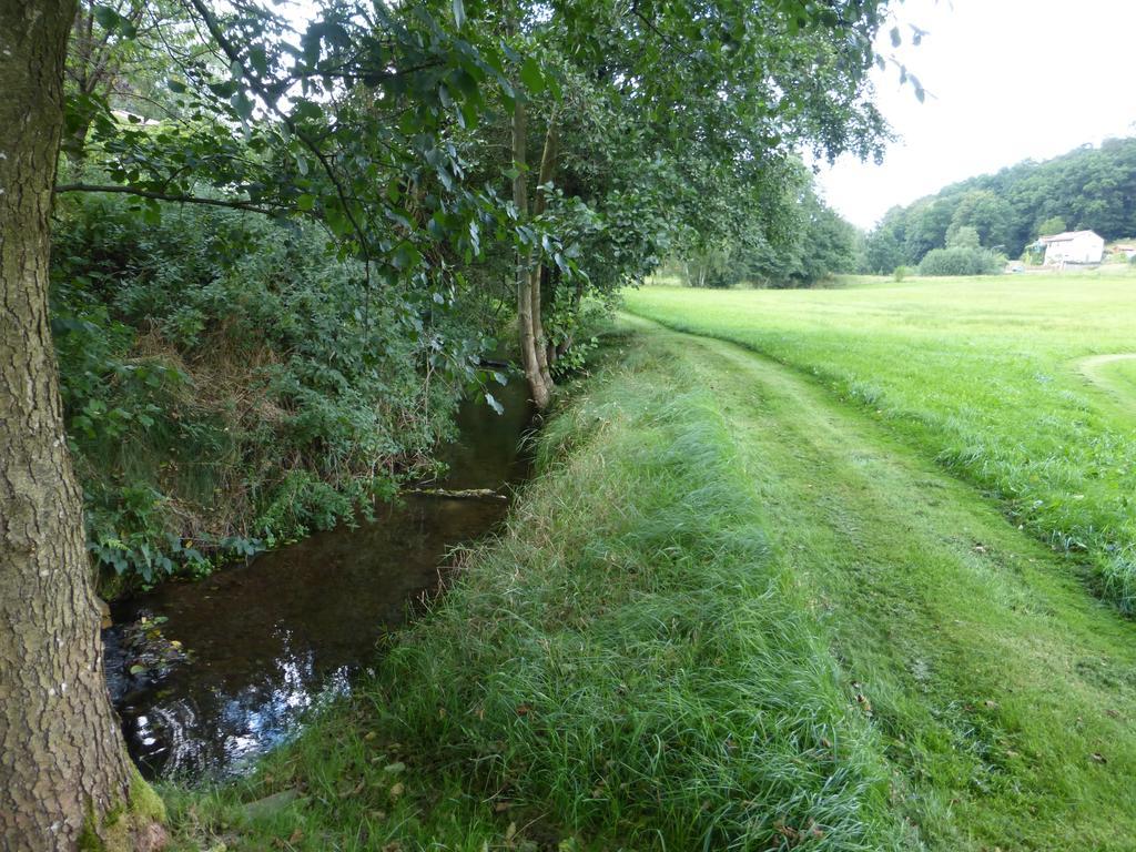 Ferienwohnungen Zur Muehle Mossautal Экстерьер фото