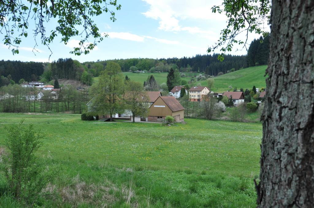 Ferienwohnungen Zur Muehle Mossautal Экстерьер фото